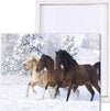 Paint By Number | Three Horses Running through the Snow - Paint By Number Artist