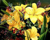 Paint By Number | Yellow Lilies - Paint By Number Artist