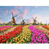 Paint By Number | Dutch Tulips - Paint By Number Artist