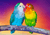 Paint By Number | Parakeets