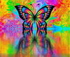 Paint By Number | Colorful Butterfly - Paint By Number Artist