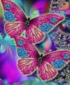 Paint By Number | Colorful Butterflies 2 - Paint By Number Artist