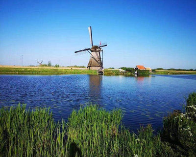 Paint By Number | Dutch Windmill - Paint By Number Artist