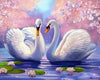 Paint By Number | Swan Couple - Paint By Number Artist