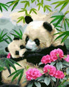 Paint By Number | Panda with Baby - Paint By Number Artist