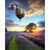 Paint By Number | Colorful Romantic Hot Air Balloons Over Purple Flower Field