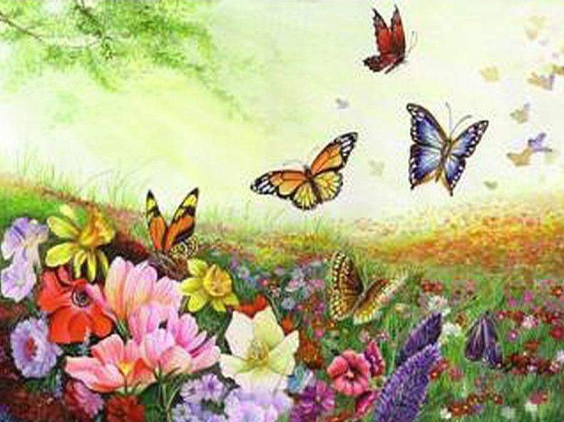 Paint By Number, Flowers and Butterflies