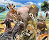 Paint By Number | Group of Wild African Animal Friends Having Fun - Paint By Number Artist
