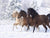 Paint By Number | Three Horses Running through the Snow