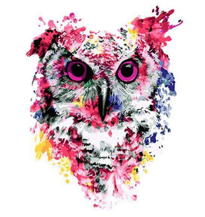 Paint By Number | Colorful Owl - Paint By Number Artist