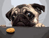 Paint By Number | Dog and a Cookie - Paint By Number Artist