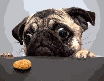 Paint By Number | Dog and a Cookie - Paint By Number Artist