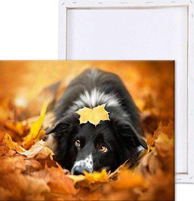 Paint By Number | Dog with Leaves - Paint By Number Artist
