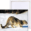 Paint By Number | Leopard in Snow - Paint By Number Artist