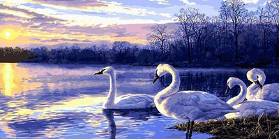 Paint By Number | Swans - Paint By Number Artist