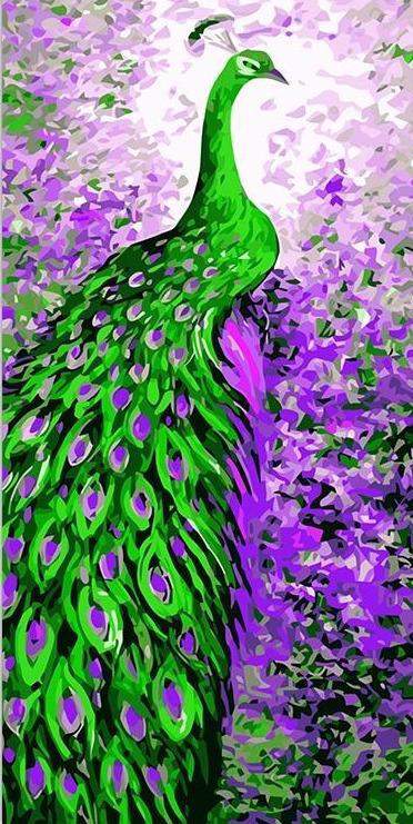 Paint By Number | Peacock - Paint By Number Artist