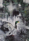 Paint By Number | Mallard - Paint By Number Artist