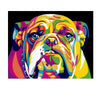 Paint By Number | Rainbow Bulldog - Paint By Number Artist