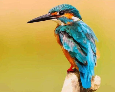 Paint By Number | Kingfisher or Blue Bird - Paint By Number Artist