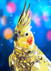 Paint By Number | Cockatiel - Paint By Number Artist