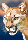 Paint By Number | Prey Stalking Puma - Paint By Number Artist