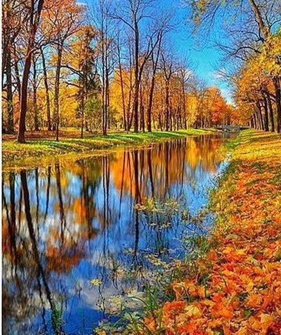 Paint By Number | Creek with reflection of Leaves and Trees in Autumn Colors - Paint By Number Artist
