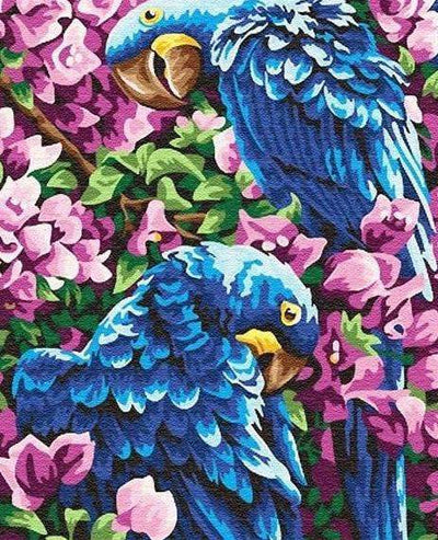 Paint By Number | Two Blue Macaws - Paint By Number Artist