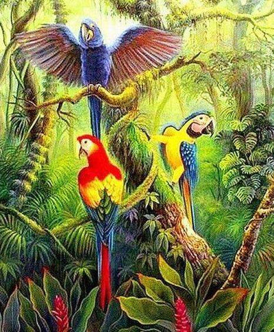 Paint By Number | Three Beautiful Parrots - Paint By Number Artist