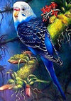 Paint By Number | Blue Parakeet - Paint By Number Artist