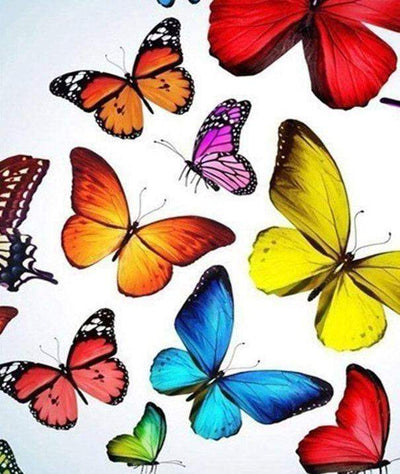 Paint By Number | Colorful Butterflies 7 - Paint By Number Artist