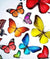 Paint By Number | Colorful Butterflies 7
