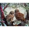 Paint By Number | Parrots, Macaws and Owls - Paint By Number Artist