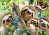 Sloth On Tree Animal Painting By Numbers Home Decoration Art Oil Paints Kits For Beginner Unique Diy Gift Digital Pai - Paint By Number Artist