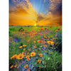 Oil Paint By Numbers For Adults Kids Unique Diy Gift Sunset Flower Field Landscape Painting Modern Home Decor Art Pho - Paint By Number Artist